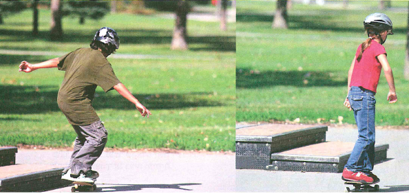 (בספר שישה איורים, היעזר במנחה)